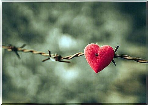 heart in hawthorn wounded by anger