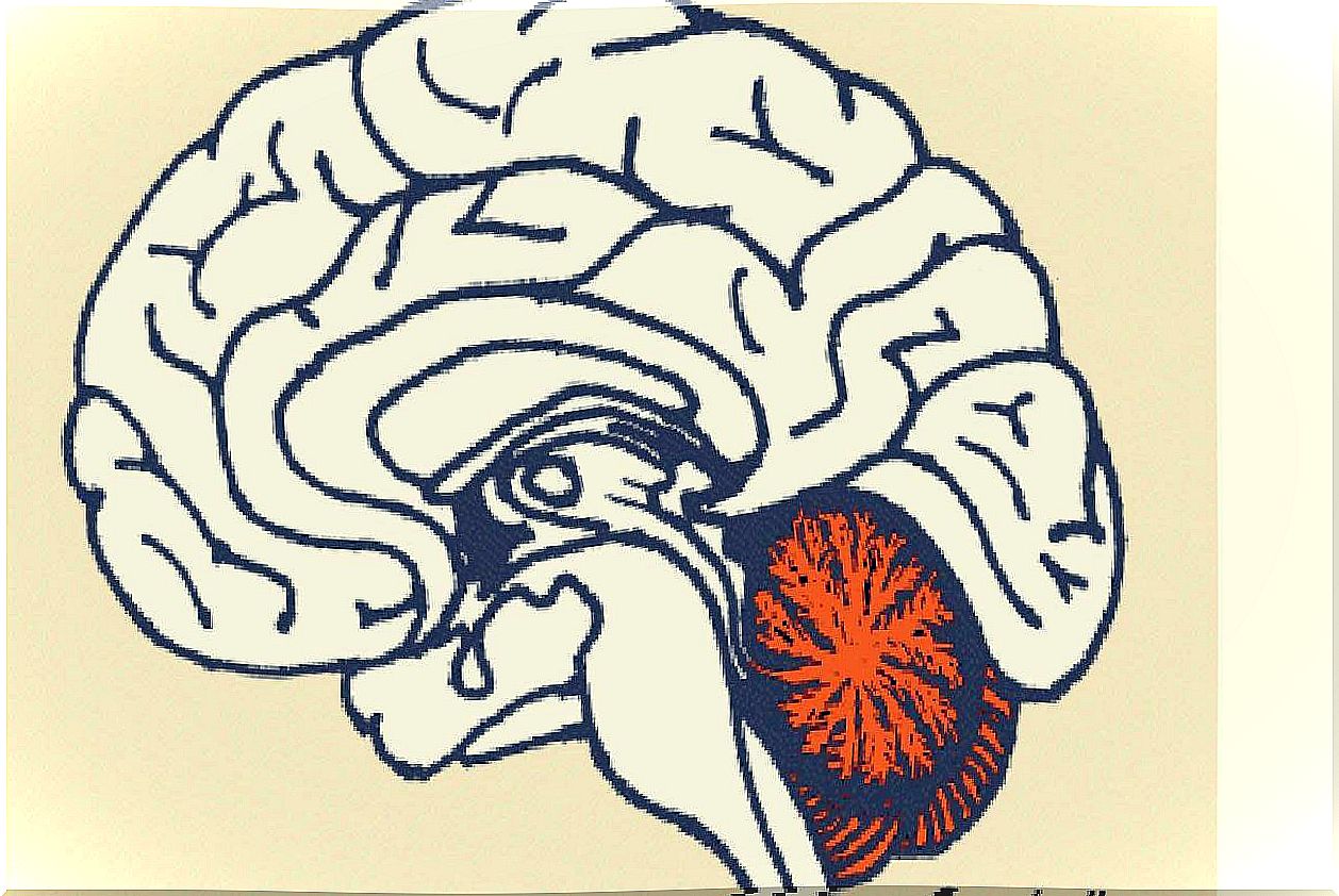 Image to represent the relationship between cerebellum and divergent thinking