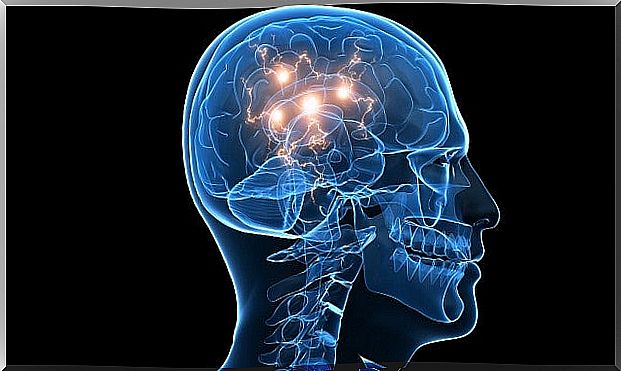 brain representing the mechanism of action of Deprax