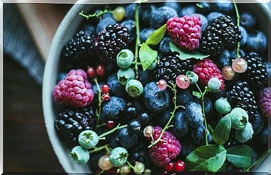 forest fruits plate