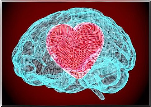 Brain with a heart representing that emotional intelligence will not make you happier