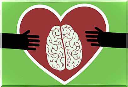 Heart with brain