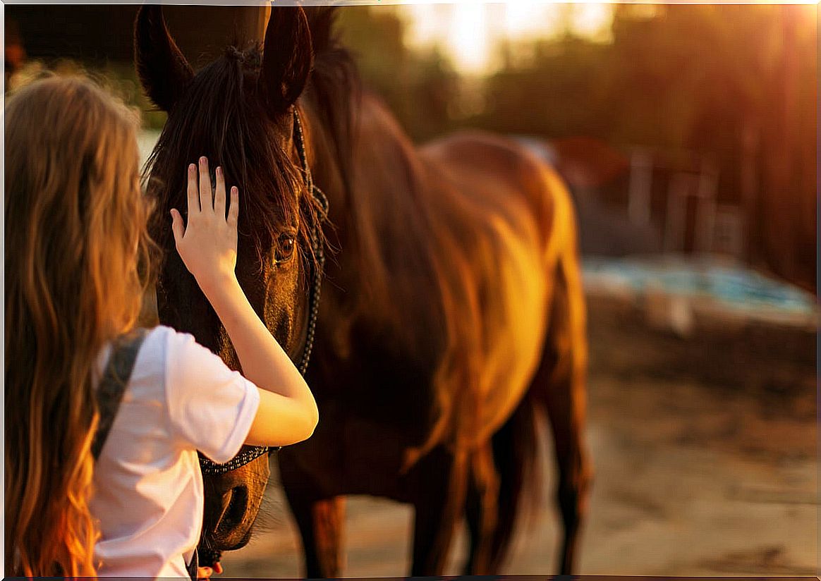 Woman overcoming her fear of horses