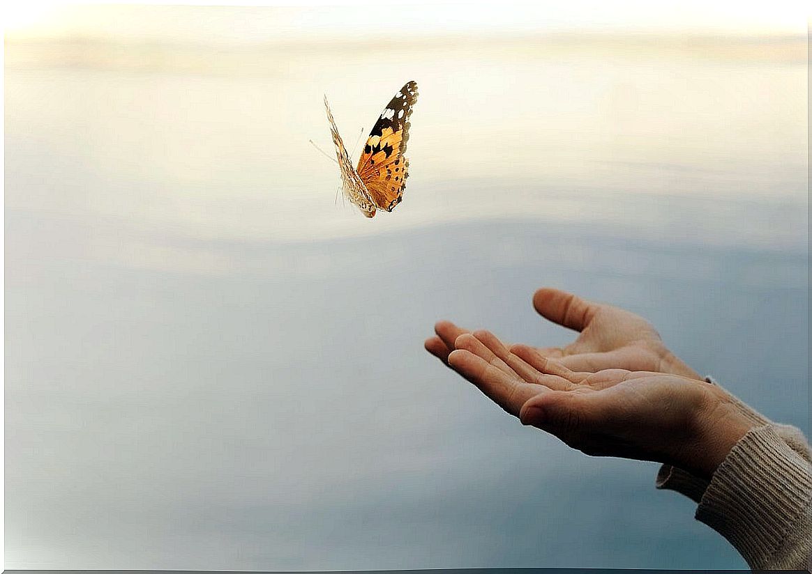 hand with butterfly symbolizing indirect trauma