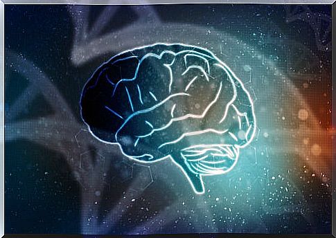 Myths about brain function and learning