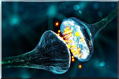 types of synapses