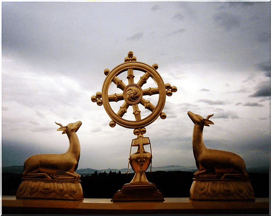 Wheel of dharma