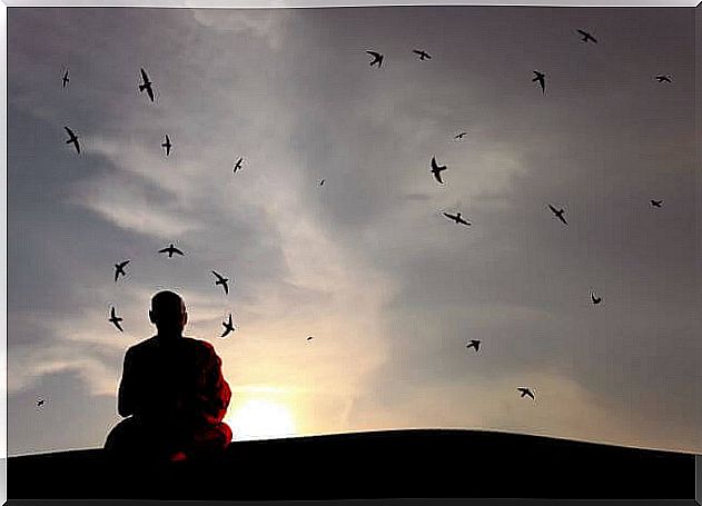 Buddhist monk practicing the Dharma