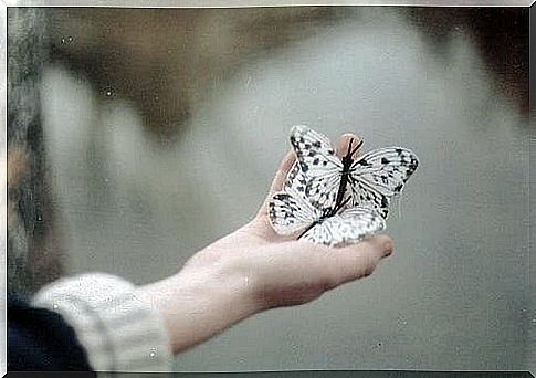 Hand with a butterfly symbolizing the Dharma