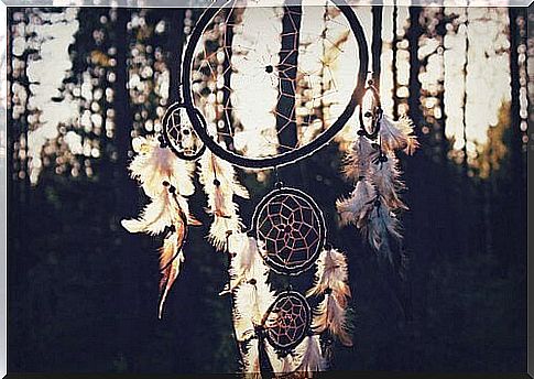 Dream Catcher