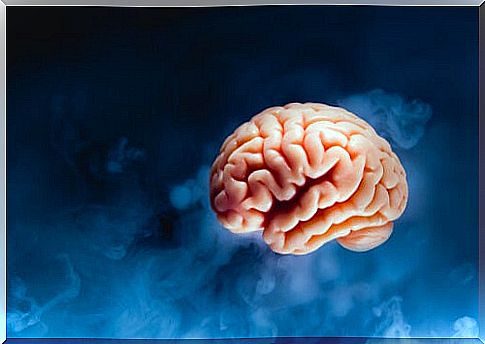 Brain on dark blue background